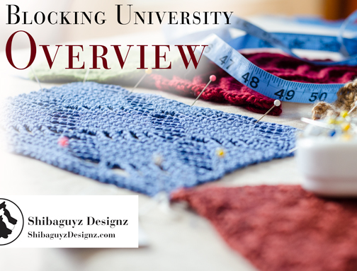 Blocking University - Course Overview by Shibaguyz Designz