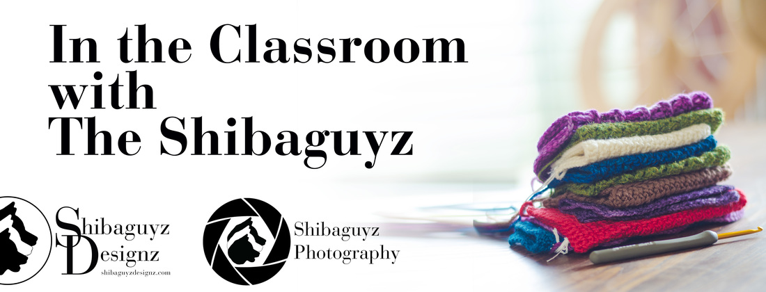 In the Classroom with The Shibaguyz